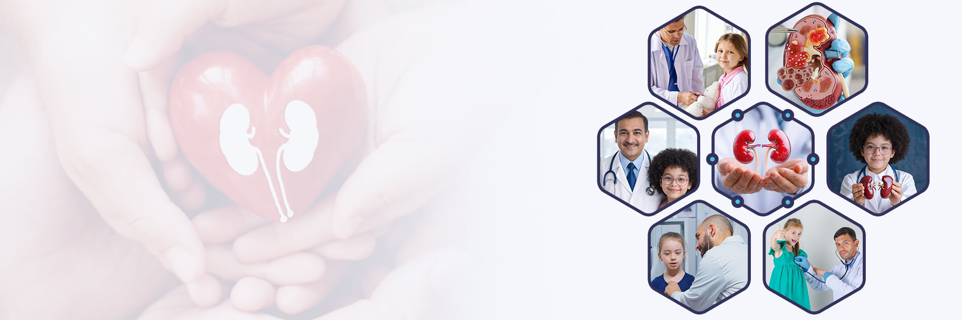 Kidney Specialist